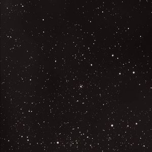 Meet your Posher, Kaleb